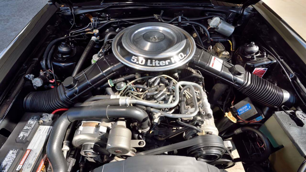 1982 mustang