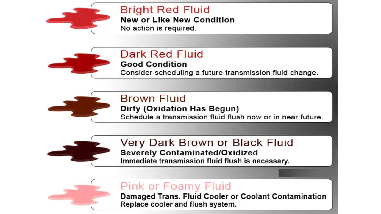 Transmission Fluid Color